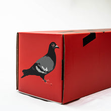 INOZETEK X STAPLE - Super Gloss Staple Pigeon Grey (incl. STAPLE Box) - Inozetek USA