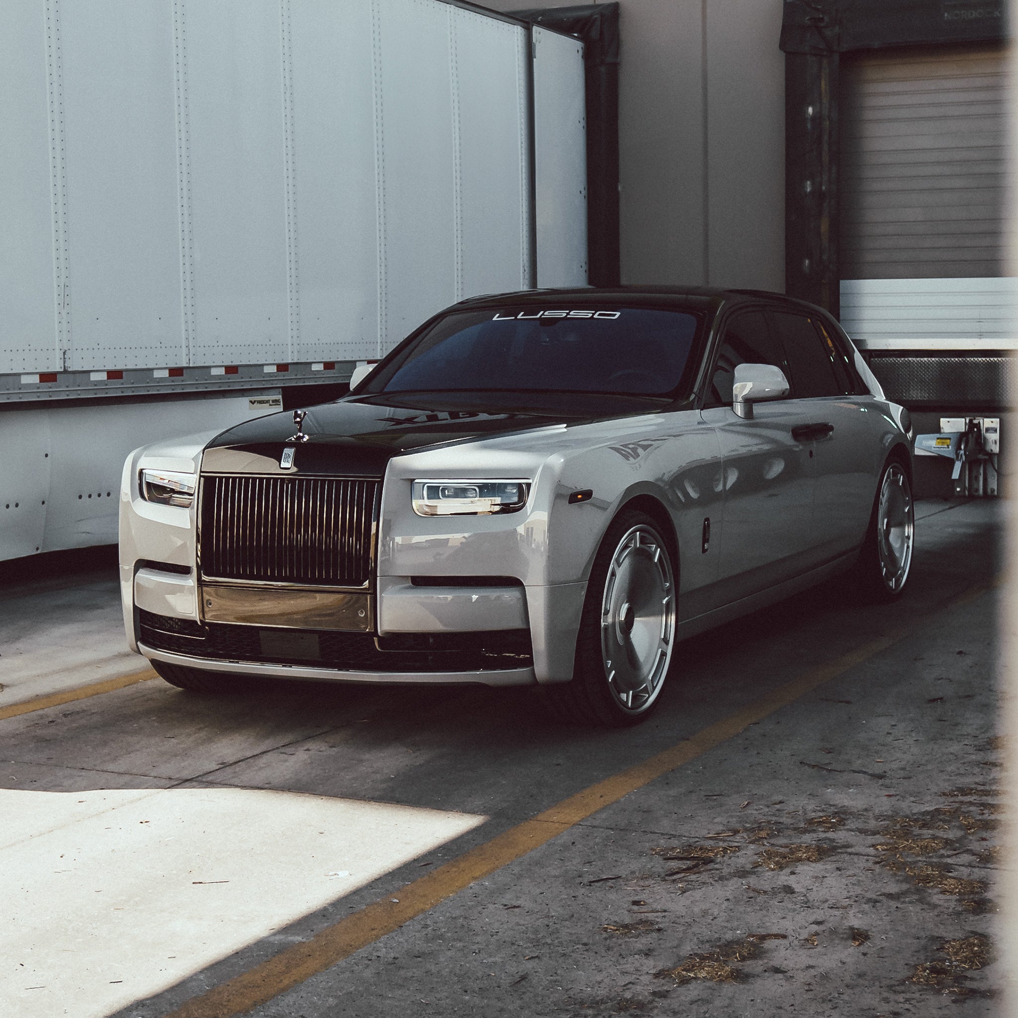GLOSS DYNAMIC PPF