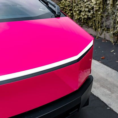 DPPF941 - Gloss Hot Pink [WET APPLY]