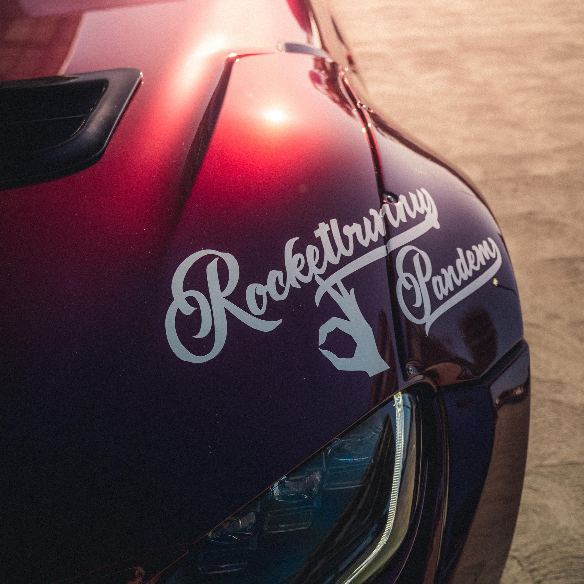RB101(D) - Bunny One Purple Metallic (Dry Application) - Inozetek USA