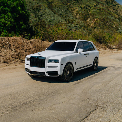 DPPF816 - Frozen Matte White [DRY APPLY]