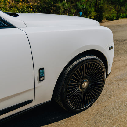 DPPF816 - Frozen Matte White [DRY APPLY]